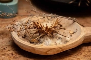 Gran Canaria: Green Witchcraft in the Magic Island