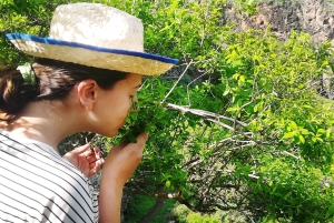 Gran Canaria: Green Witchcraft in the Magic Island