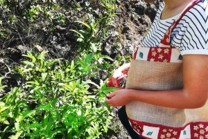 Gran Canaria: Green Witchcraft in the Magic Island