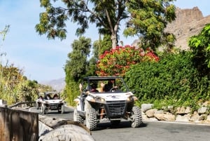 Gran Canaria: aventura en buggy todoterreno por los cañones