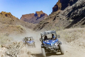 Gran Canaria: aventura en buggy todoterreno por los cañones