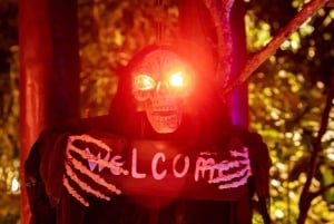 Gran Canaria: Halloween Party Professional Photo Shoot