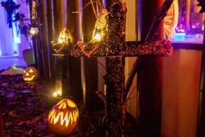 Gran Canaria: Halloween Party Professional Photo Shoot