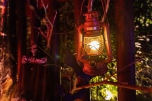 Gran Canaria: Halloween Party Professional Photo Shoot