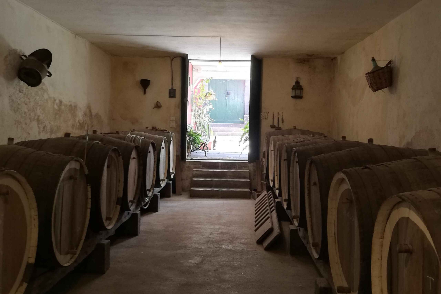 Gran Canaria: Highlights Wine Tasting Tour & shore excursion