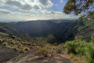 Gran Canaria: Highlights Wine Tasting Tour & shore excursion
