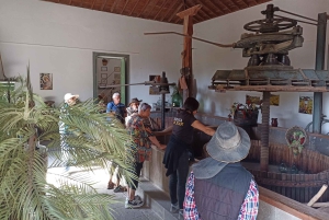 Gran Canaria: Highlights Wine Tasting Tour & shore excursion