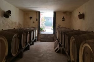 Gran Canaria: Highlights Wine Tasting Tour & shore excursion