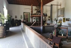 Gran Canaria: Highlights Wine Tasting Tour & shore excursion