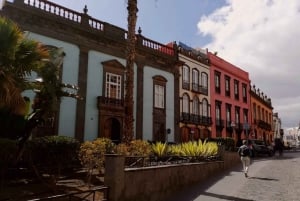 Gran Canaria: Highlights Wine Tasting Tour & shore excursion