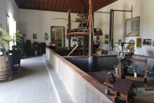 Gran Canaria: Highlights Wine Tasting Tour & shore excursion