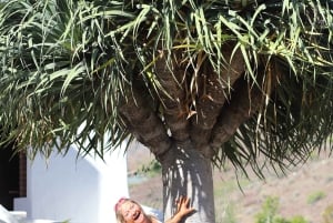 Casa histórica de Gran Canaria con plantación de mangos en Mogán.
