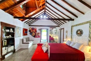 Casa histórica de Gran Canaria con plantación de mangos en Mogán.