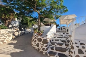 Casa histórica de Gran Canaria con plantación de mangos en Mogán.