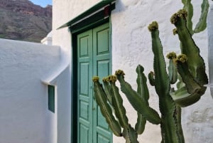 Casa histórica de Gran Canaria con plantación de mangos en Mogán.