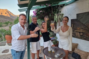 Casa histórica de Gran Canaria con plantación de mangos en Mogán.