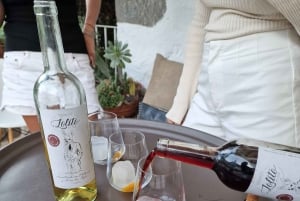 Casa histórica de Gran Canaria con plantación de mangos en Mogán.