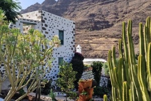 Casa histórica de Gran Canaria con plantación de mangos en Mogán.