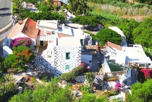 Casa histórica de Gran Canaria con plantación de mangos en Mogán.