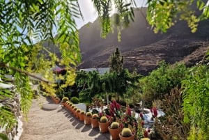 Casa histórica de Gran Canaria con plantación de mangos en Mogán.