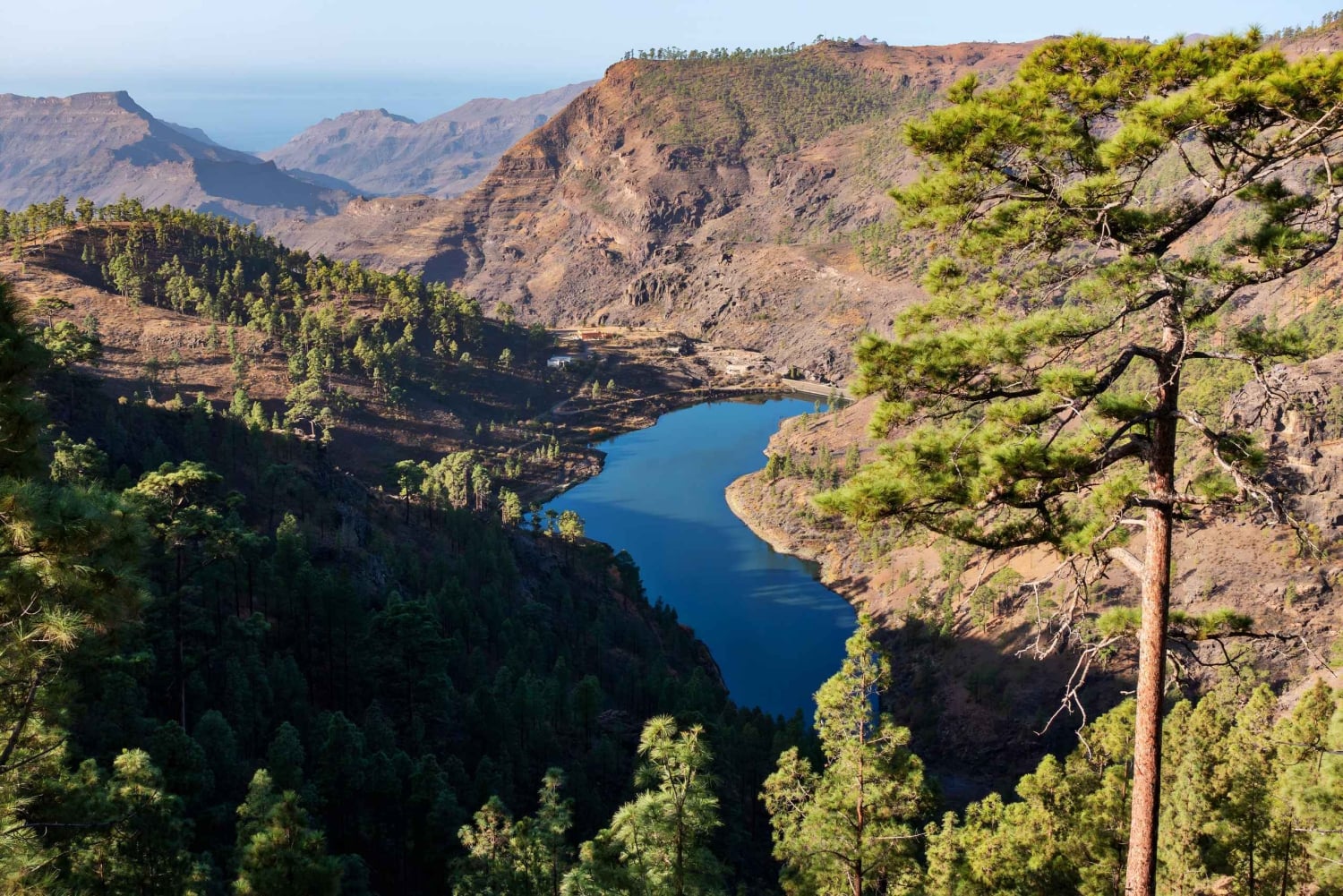 Gran Canaria: Island Highlights Tour with Optional Lunch