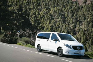 Gran Canaria: Island Highlights Tour with Optional Lunch