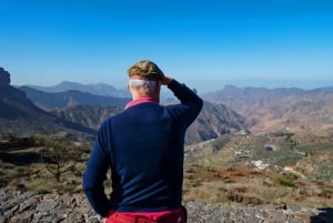 Gran Canaria: Island Highlights Tour with Optional Lunch