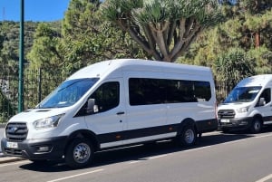 Gran Canaria: Island Highlights Tour with Optional Lunch