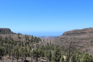 Gran Canaria: tour en jeep con aventura todoterreno