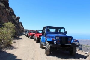 Gran Canaria: Jeep Tour With Off-Road Adventure Driving