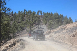 Gran Canaria: Jeep Tour With Off-Road Adventure Driving