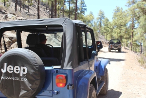 Gran Canaria: Jeep Tour With Off-Road Adventure Driving