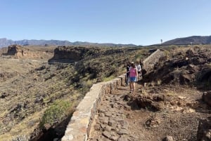 Gran Canaria LET'S GET HIGH!: almuerzo de vinos y tapas de altura