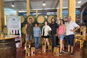 Gran Canaria LET'S GET HIGH!: almuerzo de vinos y tapas de altura