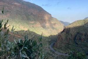 Gran Canaria LET'S GET HIGH!: almuerzo de vinos y tapas de altura