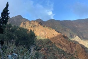 Gran Canaria LET'S GET HIGH!: almuerzo de vinos y tapas de altura