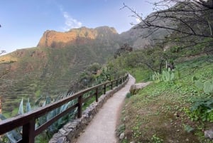 Gran Canaria LET'S GET HIGH!: almuerzo de vinos y tapas de altura