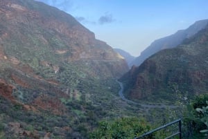 Gran Canaria LET'S GET HIGH!: almuerzo de vinos y tapas de altura