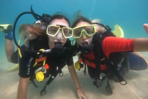 Gran Canaria:Vive una Aventura y Aprende a Bucear con Expertos