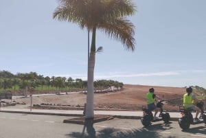 Gran Canaria: Los Pilancones Natural Park e-Scooter Tour