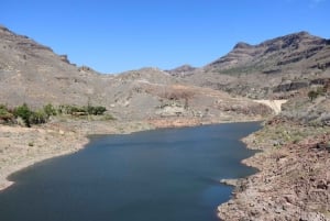 Gran Canaria: Los Pilancones Natural Park e-Scooter Tour