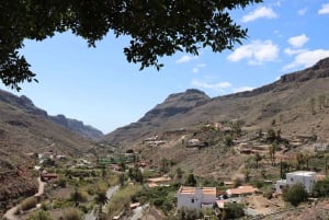 Gran Canaria: Los Pilancones Natural Park e-Scooter Tour