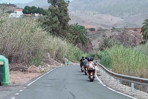 Gran Canaria: Los Pilancones Natural Park e-Scooter Tour