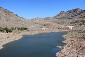 Gran Canaria: Los Pilancones Natural Park e-Scooter Tour