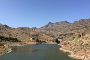 Gran Canaria: Los Pilancones Natural Park e-Scooter Tour