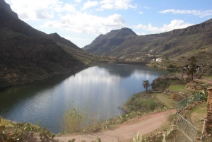 Gran Canaria: Los Pilancones Natural Park e-Scooter Tour