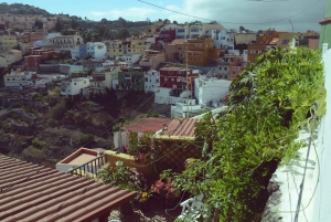 Gran Canaria: Market, Landscapes, Archaeology & Local Lunch