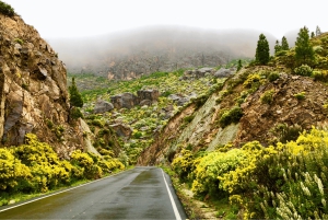 Gran Canaria: North PRIVATE VIP 4K Drone Holiday Video Tour