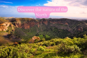 Gran Canaria: North PRIVATE VIP 4K Drone Holiday Video Tour