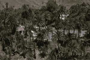 Gran Canaria: North PRIVATE VIP 4K Drone Holiday Video Tour